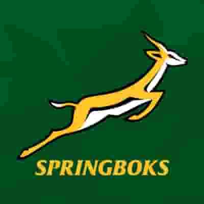South Africa national rugby union team (Springboks) blurred poster image