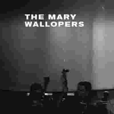 The Mary Wallopers blurred poster image