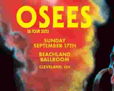 Osees tickets blurred poster image