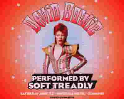 The Music Of David Bowie - Performed by Soft Treadly tickets blurred poster image