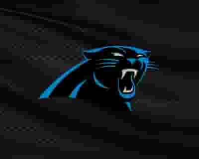 Carolina Panthers blurred poster image