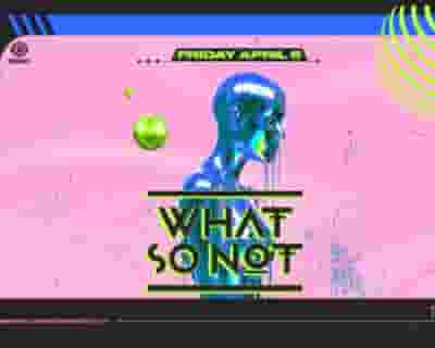 What So Not tickets blurred poster image