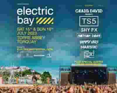 Electric Bay tickets blurred poster image