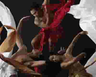 Black Grace Dance Company blurred poster image