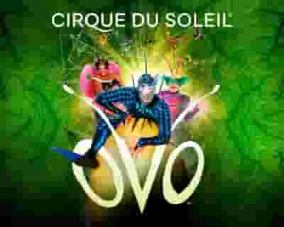 Cirque du Soleil: OVO tickets blurred poster image