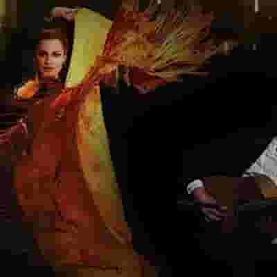 Flamencodanza blurred poster image