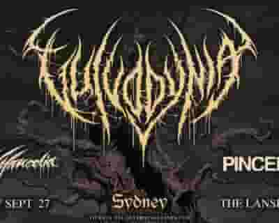 Vulvodynia tickets blurred poster image