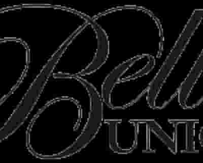 Bella Union Bar blurred poster image