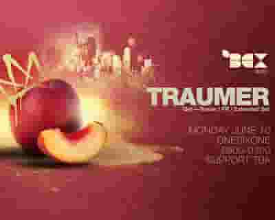 Traumer tickets blurred poster image