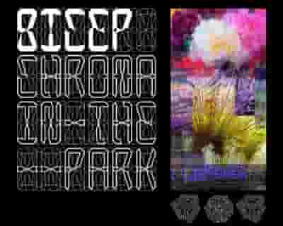 Bicep: Chroma In The Park tickets blurred poster image