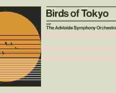 Birds of Tokyo tickets blurred poster image