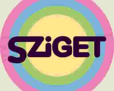Sziget Festival 2024 tickets blurred poster image