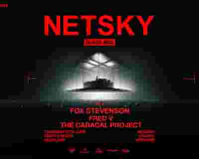 Netsky tickets blurred poster image