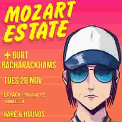 Mozart Estate blurred poster image