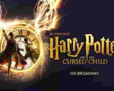 Harry Potter and the Cursed Child tickets blurred poster image