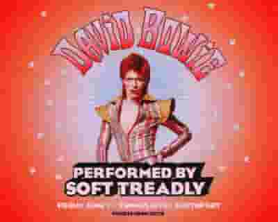 The Music Of David Bowie - Performed by Soft Treadly tickets blurred poster image