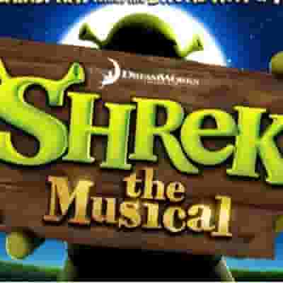 Shrek The Musical blurred poster image