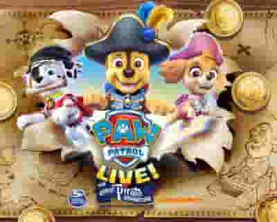 PAW Patrol Live! The Great Pirate Adventure blurred poster image