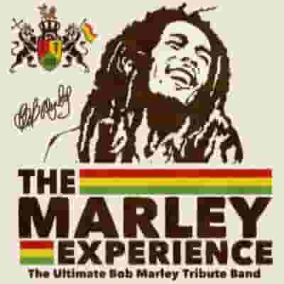 The Marley Experience blurred poster image