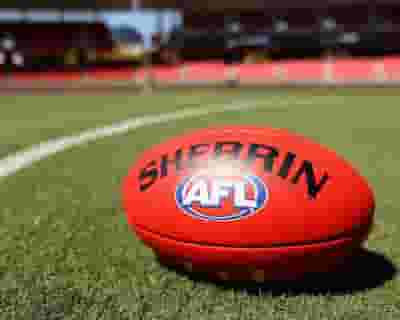 AFL Round 6 | St Kilda v Western Bulldogs tickets blurred poster image
