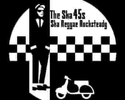 The Ska45s band blurred poster image