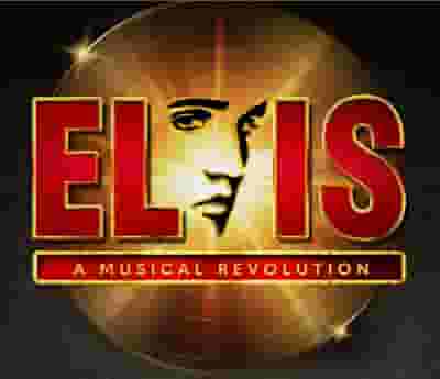 Elvis - A Musical Revolution blurred poster image
