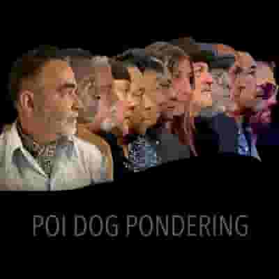 Poi Dog Pondering blurred poster image