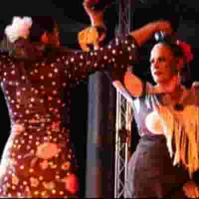 Spanish Flamenco Tablao blurred poster image