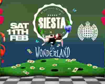 Siesta: In Wonderland tickets blurred poster image