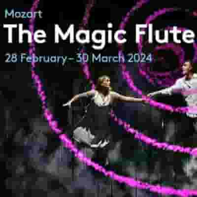 The Magic Flute blurred poster image