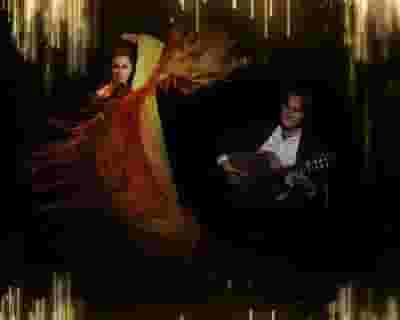 Flamencodanza tickets blurred poster image