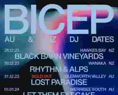 Summer Dance with Bicep / Ross From Friends / Willo tickets blurred poster image