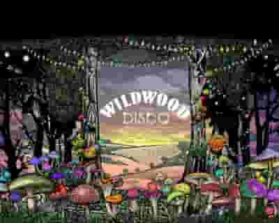 The Wild Wood Disco 2023 tickets blurred poster image