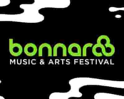 Bonnaroo Music and Arts Festival 2022 tickets blurred poster image