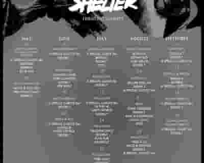 Shelter tickets blurred poster image