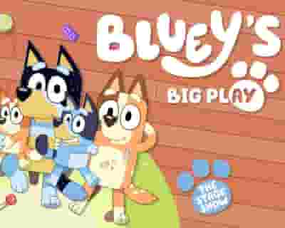 Bluey's Big Play tickets blurred poster image