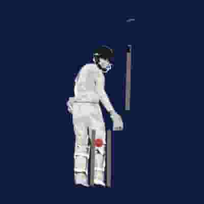 The Grade Cricketer blurred poster image