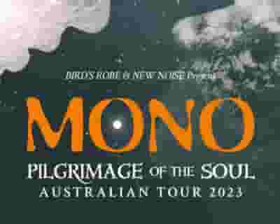 MONO tickets blurred poster image