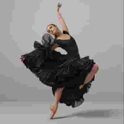 Royal New Zealand Ballet blurred poster image