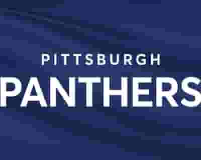 Pittsburgh Panthers Baseball blurred poster image