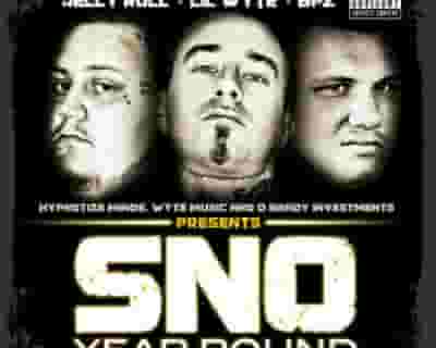 SNO blurred poster image