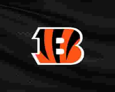 Cincinnati Bengals blurred poster image