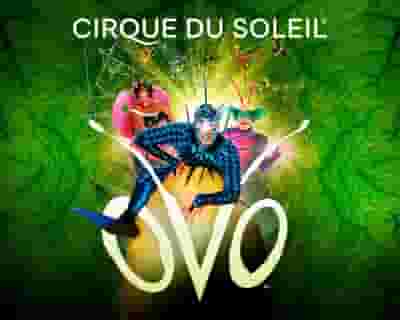 Cirque du Soleil: OVO blurred poster image