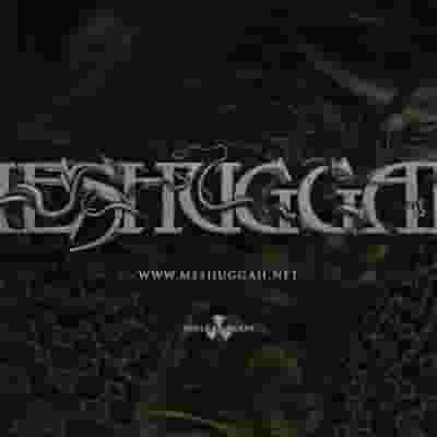 Meshuggah blurred poster image