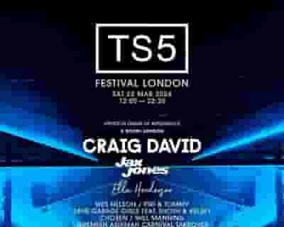 TS5 Festival London tickets blurred poster image