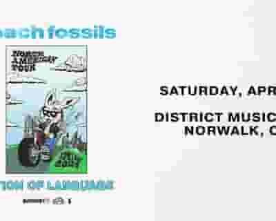 Beach Fossils with friends Nation of Language tickets blurred poster image
