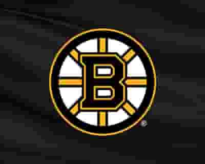 Boston Bruins blurred poster image