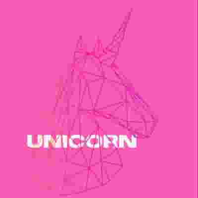 Unicorn blurred poster image