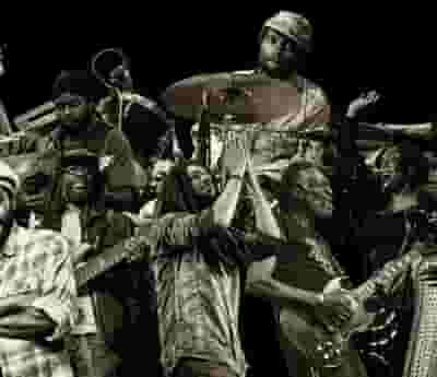 The Wailers blurred poster image
