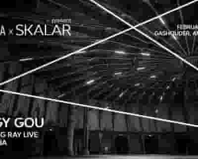 Audio Obscura x Skalar with Peggy Gou tickets blurred poster image
